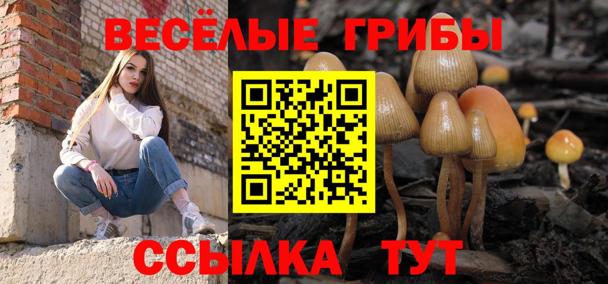 Галлюциногенные грибы мухоморы  Галлюциногенные грибы Magic Shrooms  Вход с VPN  Шали 