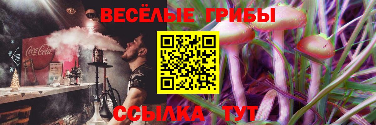 Псилоцибиновые грибы Cubensis Шали